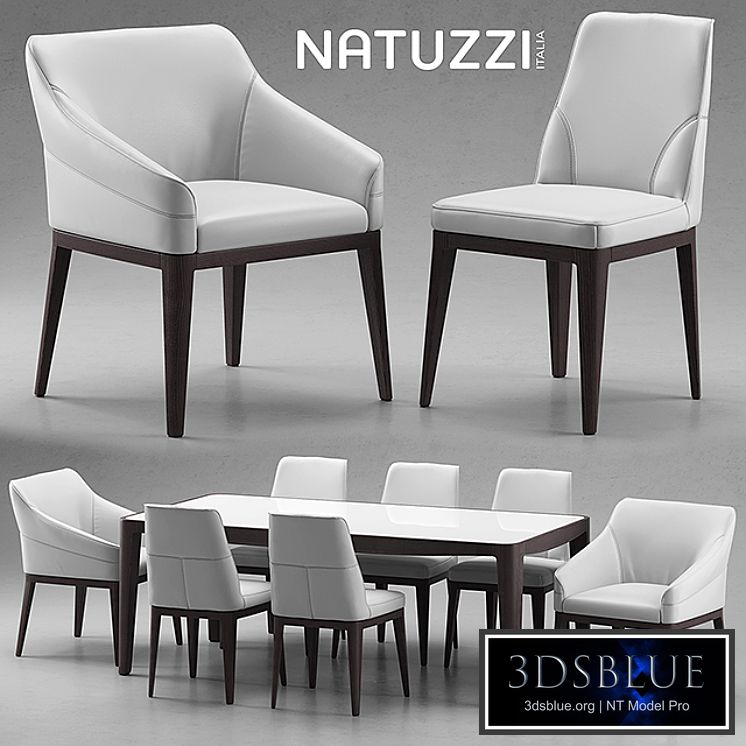 Table and chairs Natuzzi minerva, Saturno, Vesta