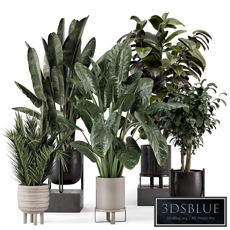 Indoor Plants in Ferm Living Bau Pot Large - Set 1292