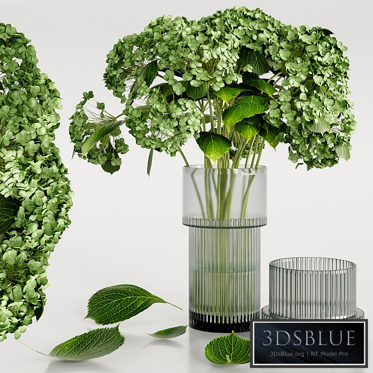 Set bouquet Hydrangea