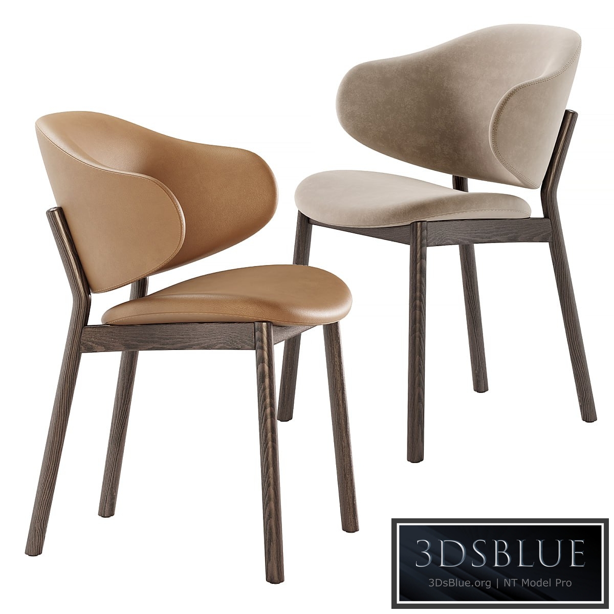 Holly chairs by Calligaris