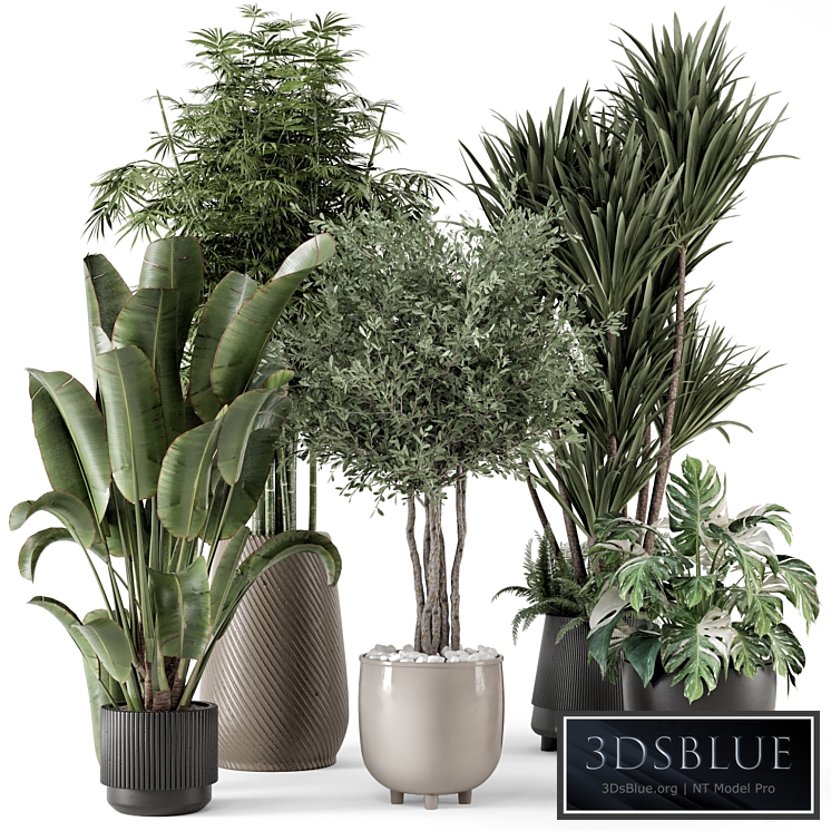 Indoor Plants in Ferm Living Bau Pot Large - Set 1325