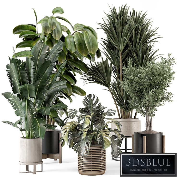 Indoor Plants in Ferm Living Bau Pot Large - Set 1328