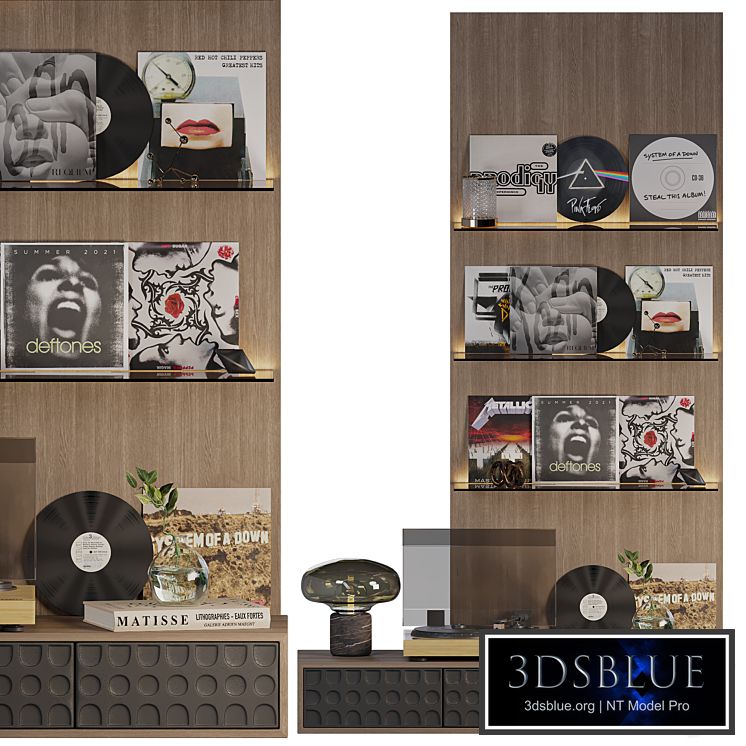 Decorative shelf with vinyl records
