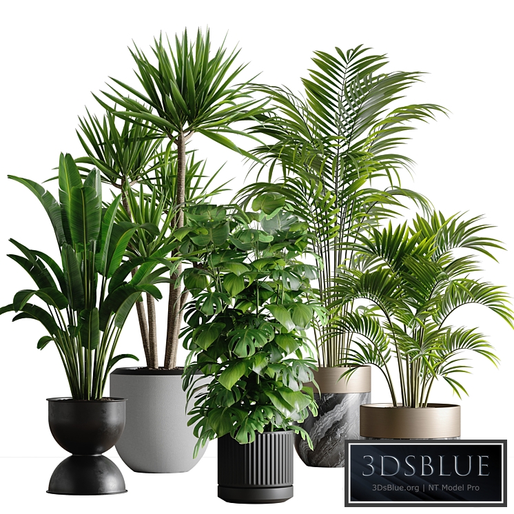 indoor plant set 53