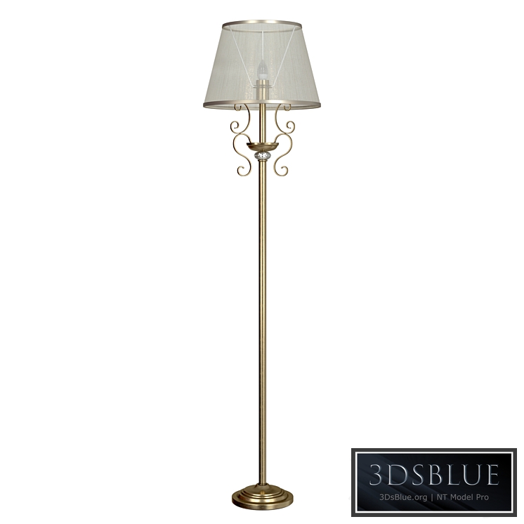 Floor lamp Driana FR2405-FL-01-BZ