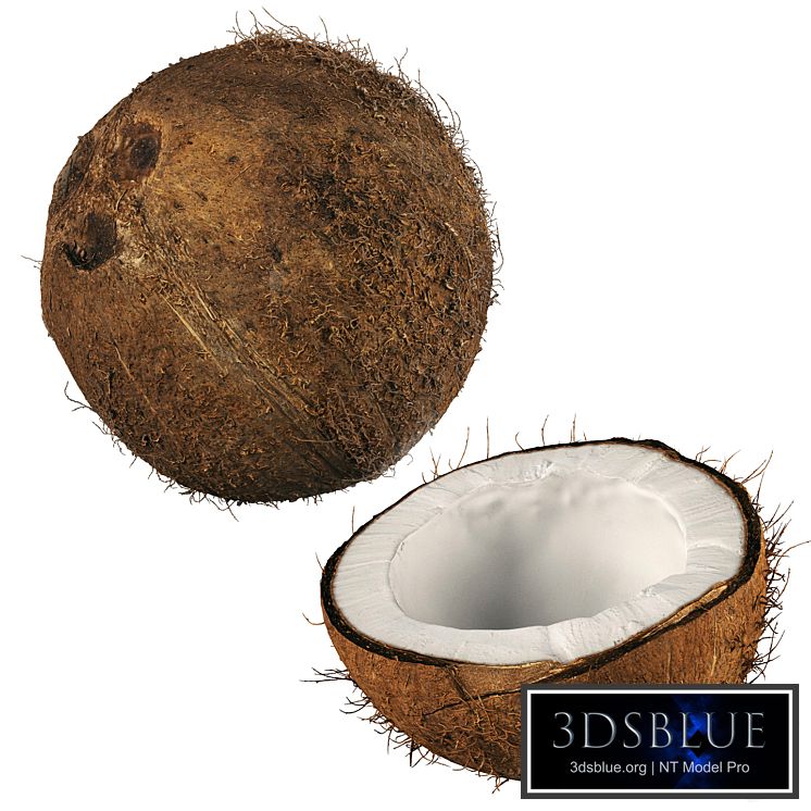 4k coconut 02