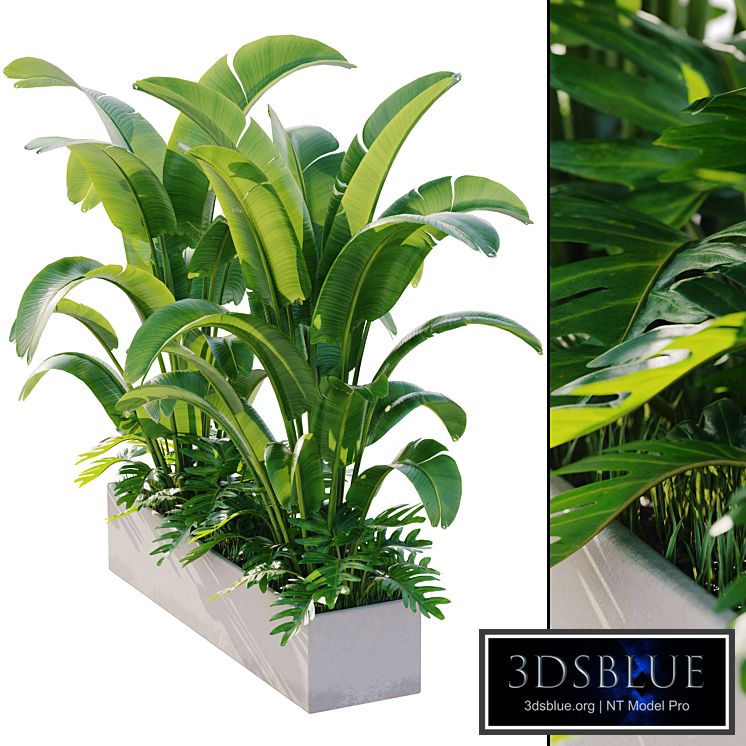 outdoor plant set 12