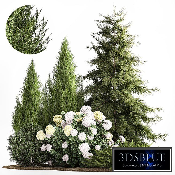 Garden of spruce, pine, topiary, white hydrangea bush, flowers, juniper, alpine hill. Plant set 1181