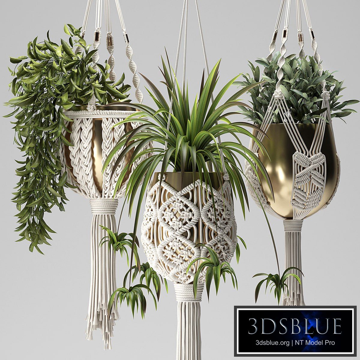 Macrame Plant Hangers