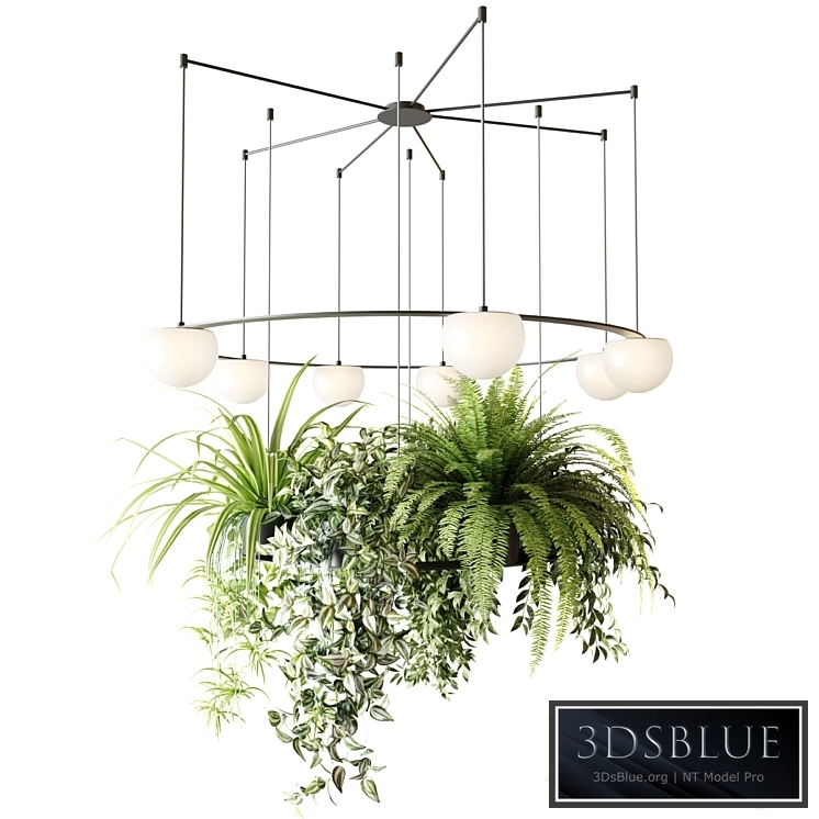 CIRC Suspension lamps Pendants chandelier with ampelous plants