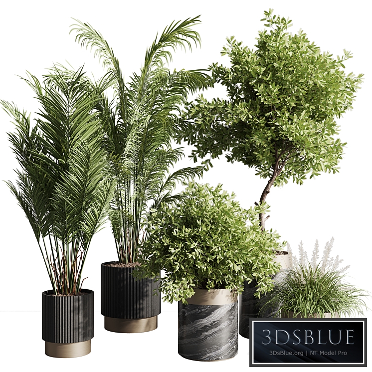 indoor plant set 57