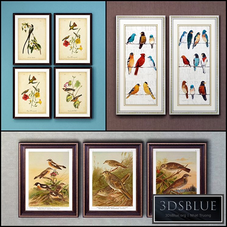 The picture in the frame: 17 pieces (collection 63) Birds
