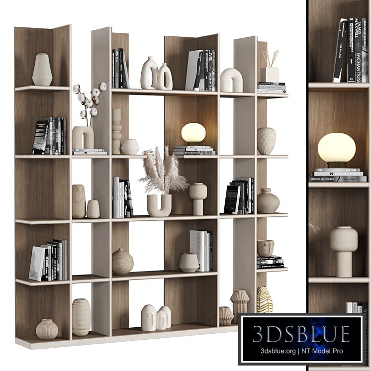 Cabinet with shelves_032