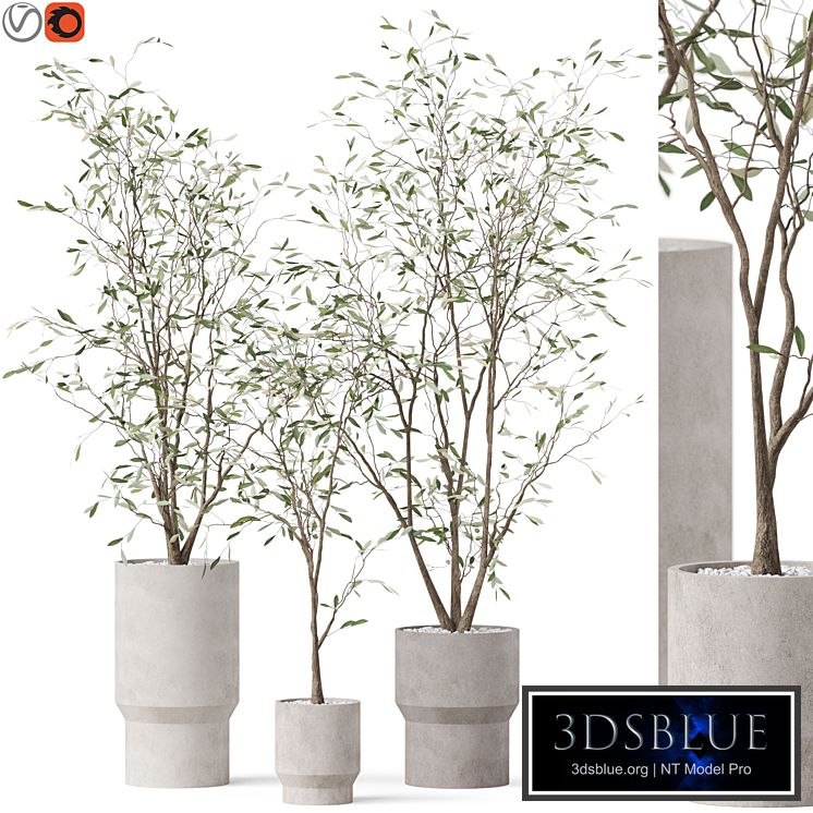 Plants collection 900