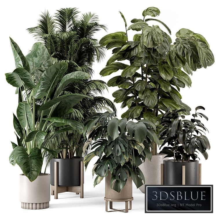 Indoor Plants in Ferm Living Bau Pot Large - Set 1361