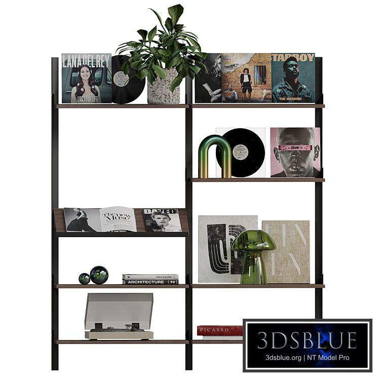 Decorative shelf with vinyl records 2