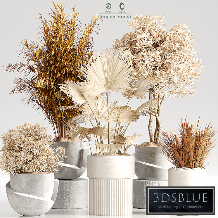 Indoor Plant Set 35 Dry Plants