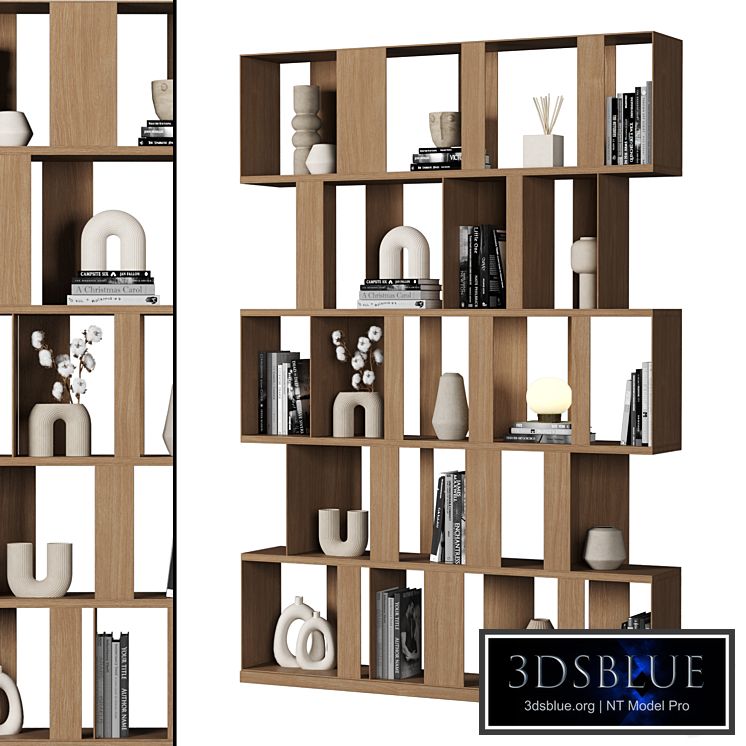 Cabinet with shelves 040