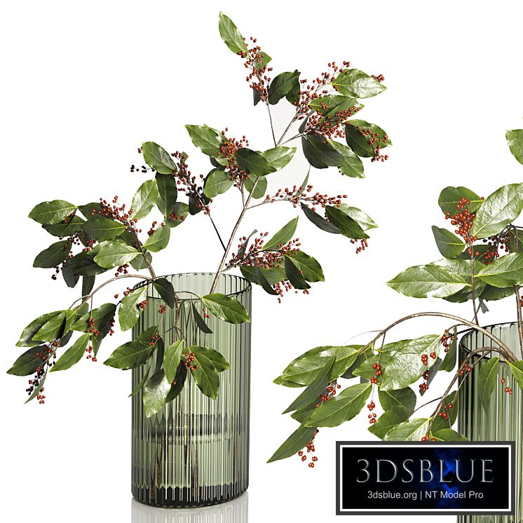 Decorative Plants 02