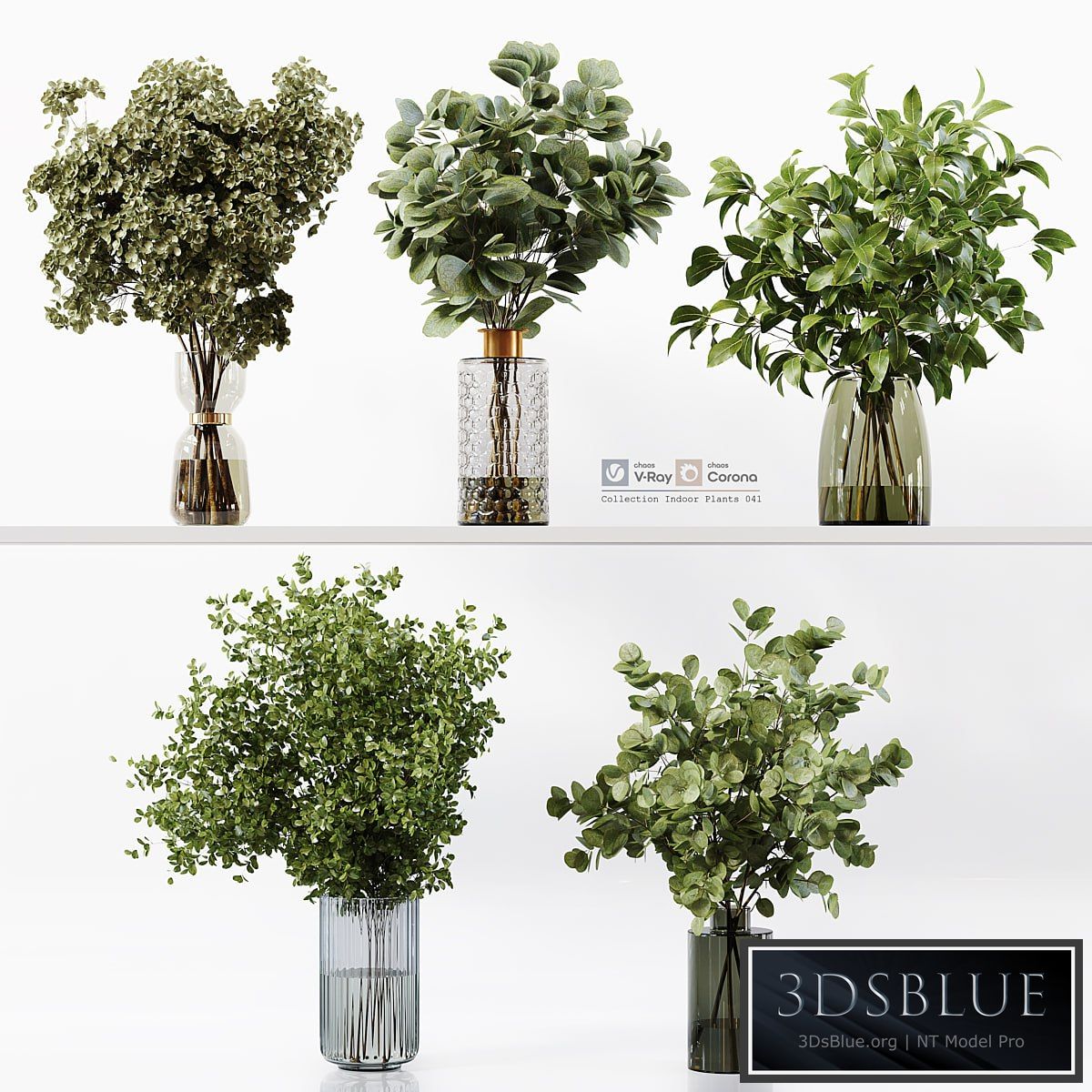 Collection Indoor Plants 041