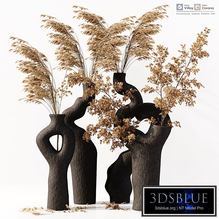 Collection Indoor Plants 043