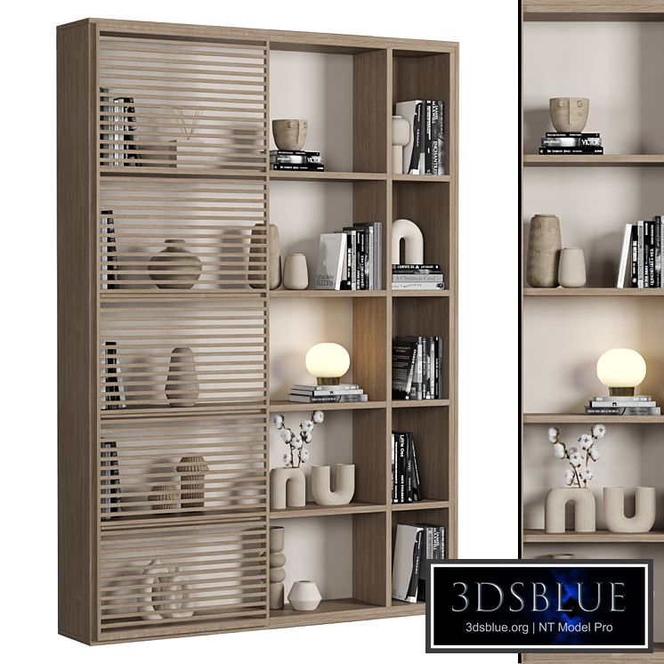 Cabinet with shelves_041