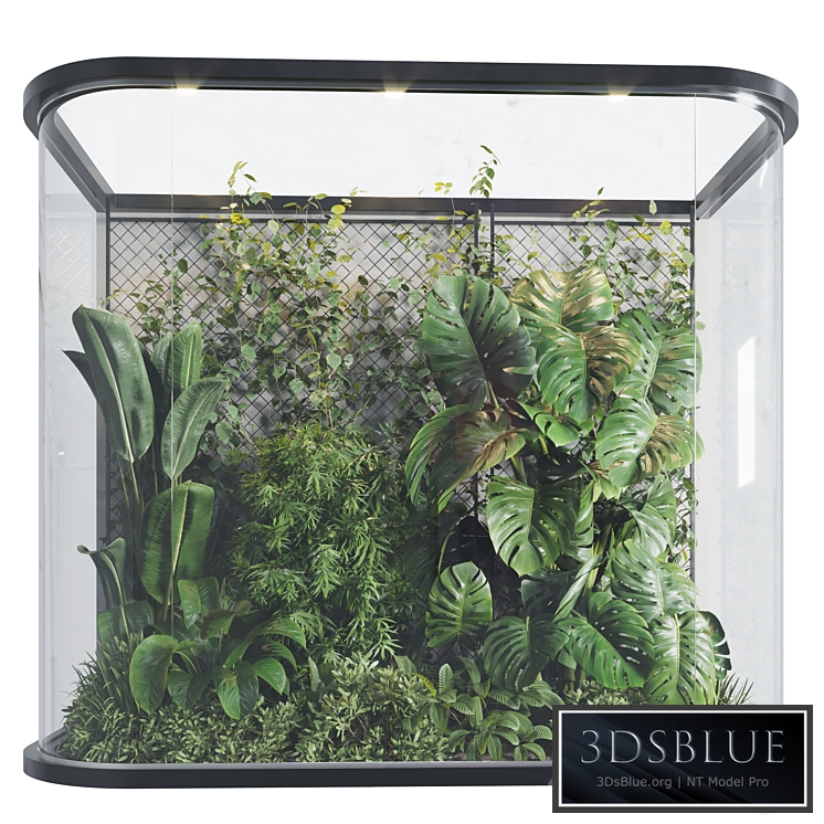 Plants Behind Galss 03 - indoor garden