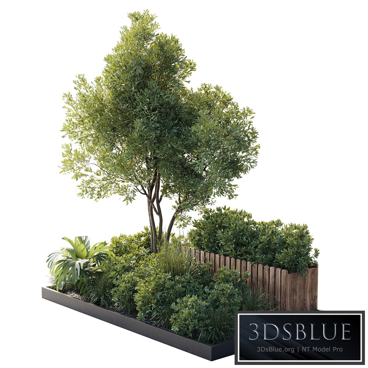 Garden plants set in a box - outdoor set 150