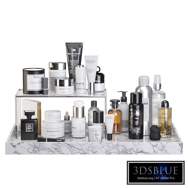 Decorative cosmetics set