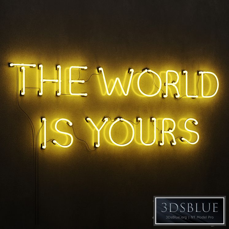 Neon light The World Is Yours