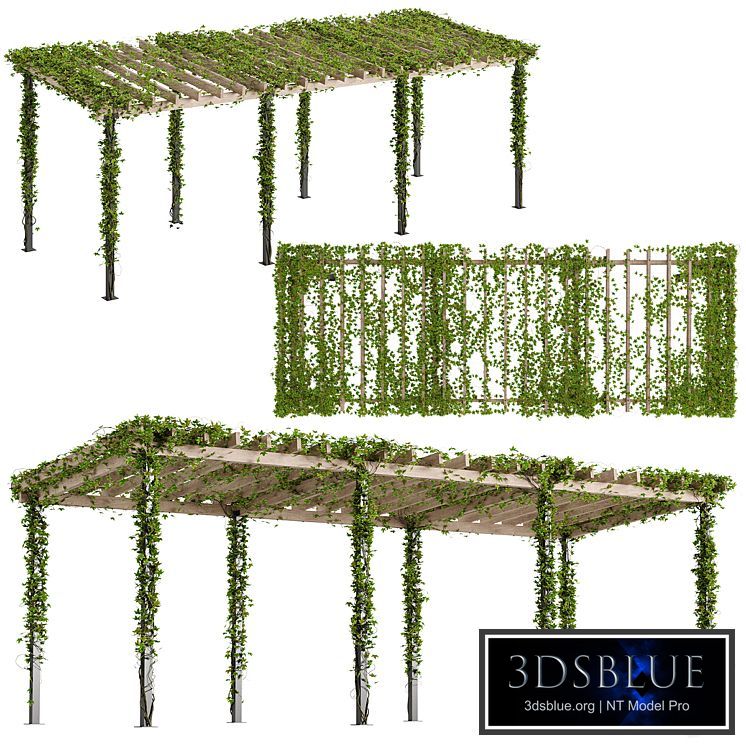 Pergola with Ivy v10