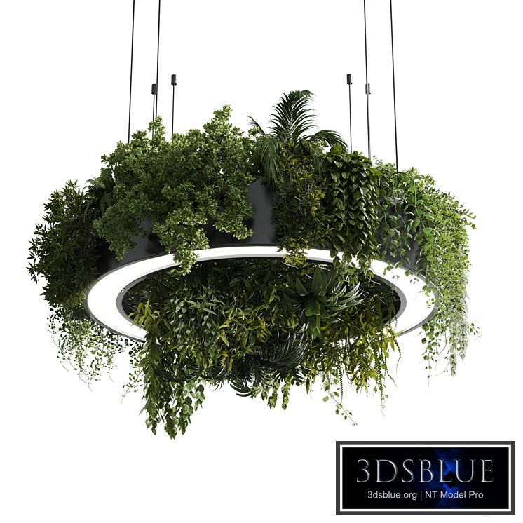 Circle pot light pendant - plant light hanging 13 corona