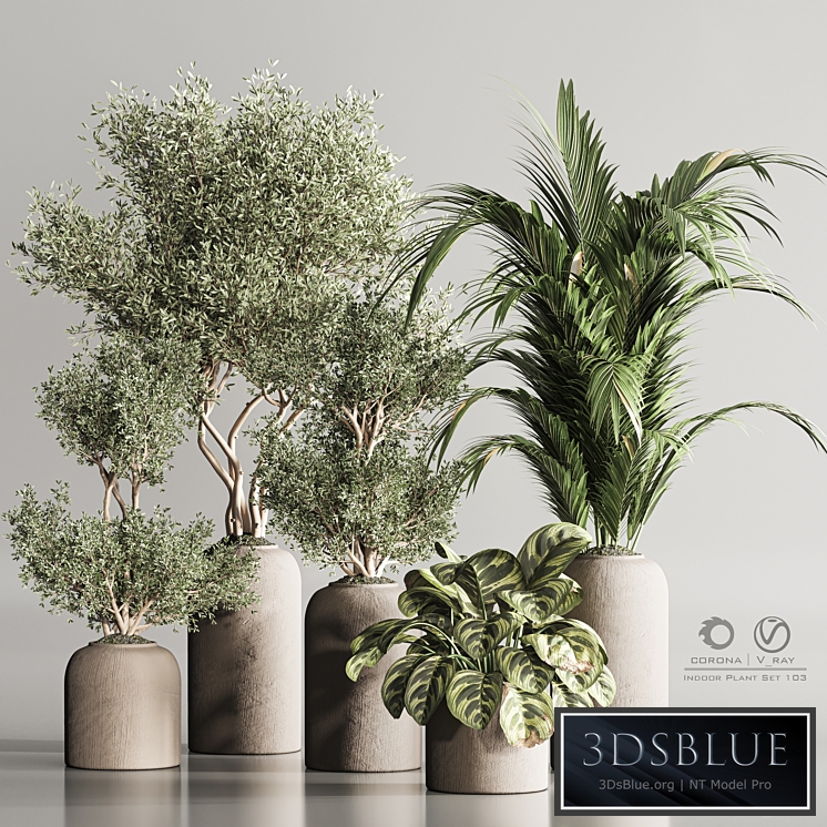 Indoor Plant Set 103
