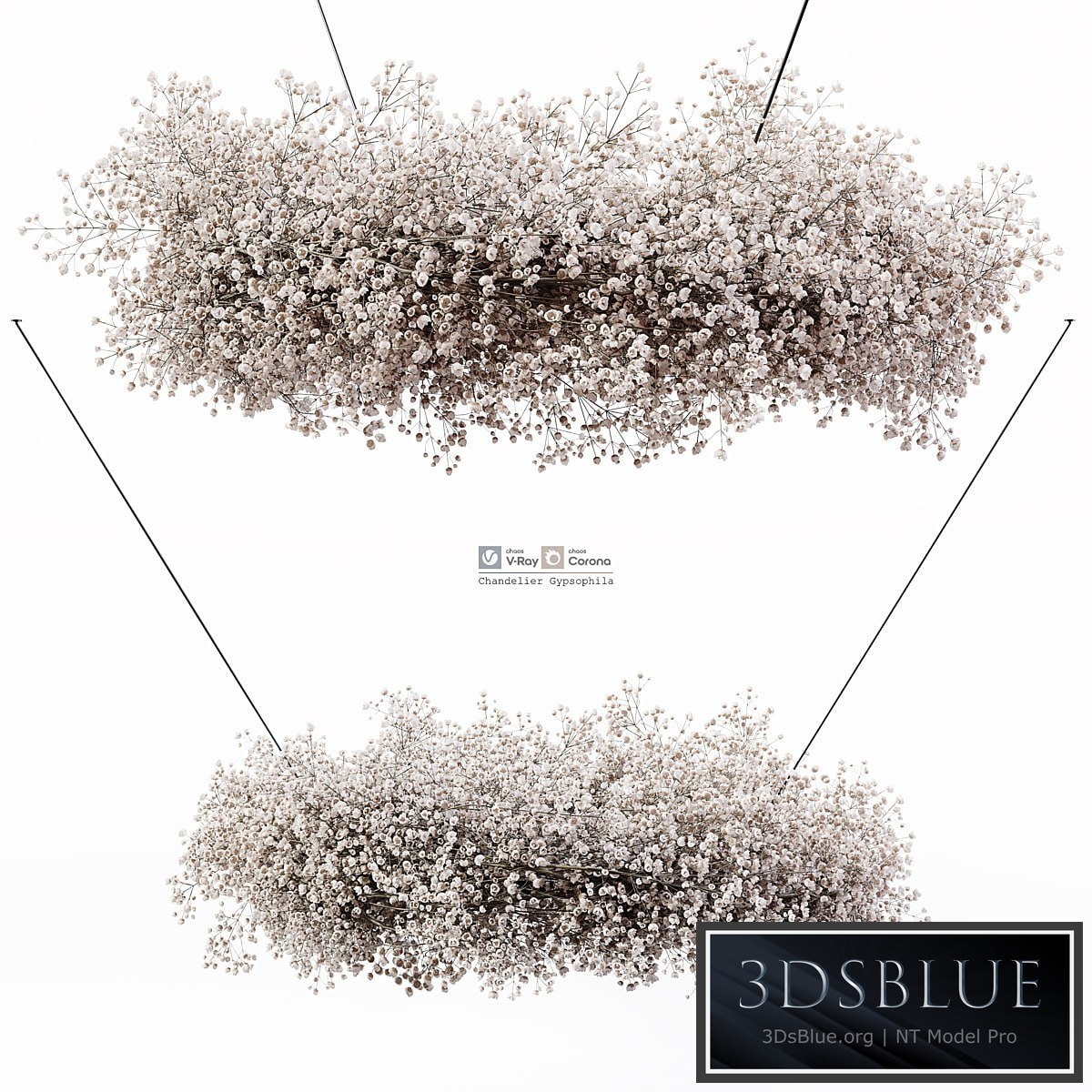 Chandelier Gypsophila