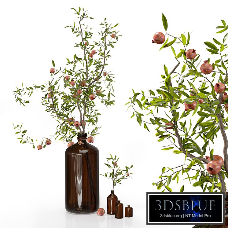 Pomegranate branches in pharmacy bottles