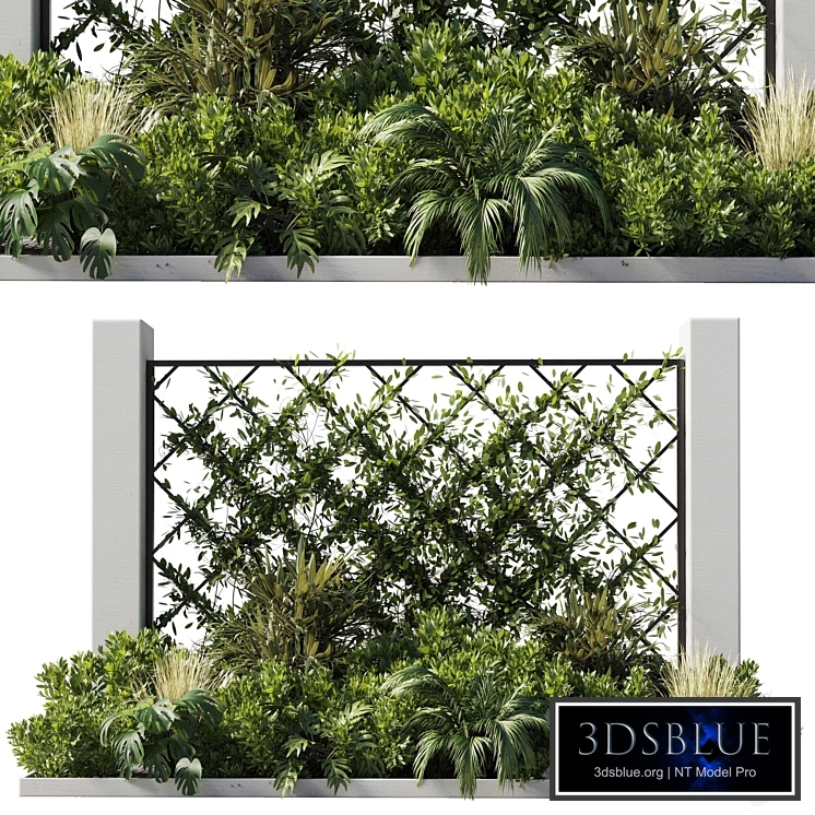 Outdoor garden plant set 153 - Ivy on Fence
