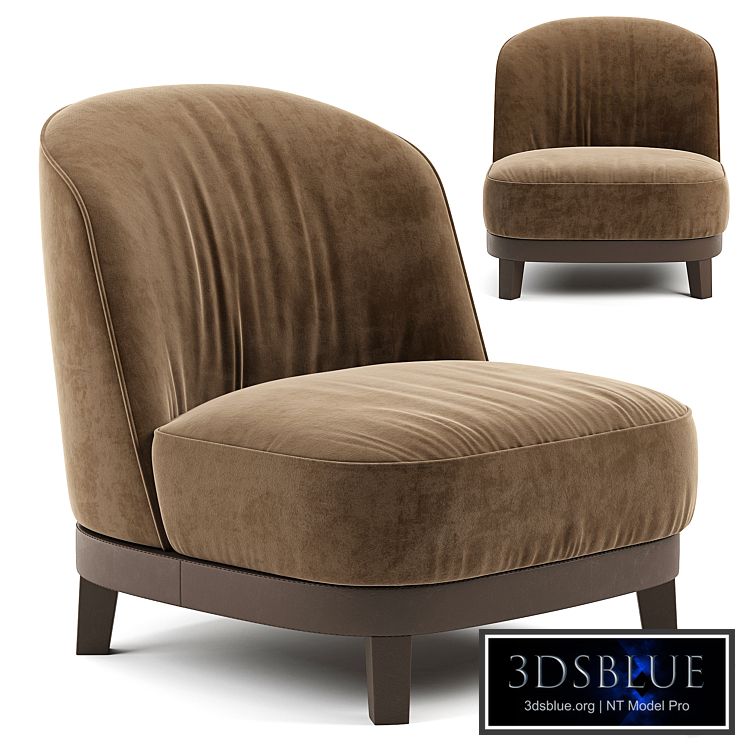 Armchair Busnelli Swing