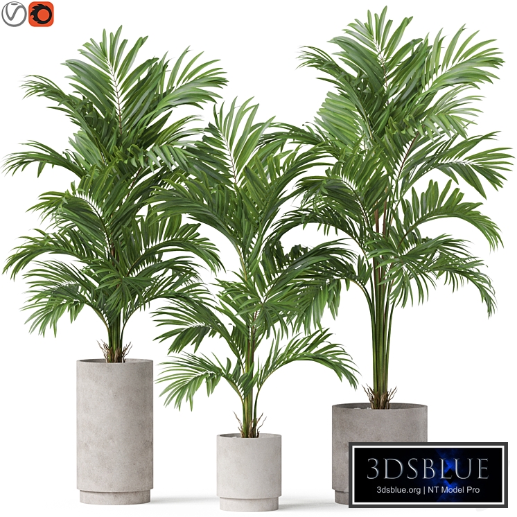 Plants collection 918