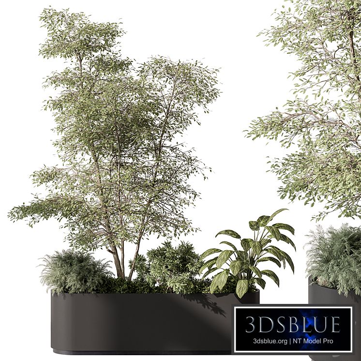 Plant Box - Outdoor Plants 515