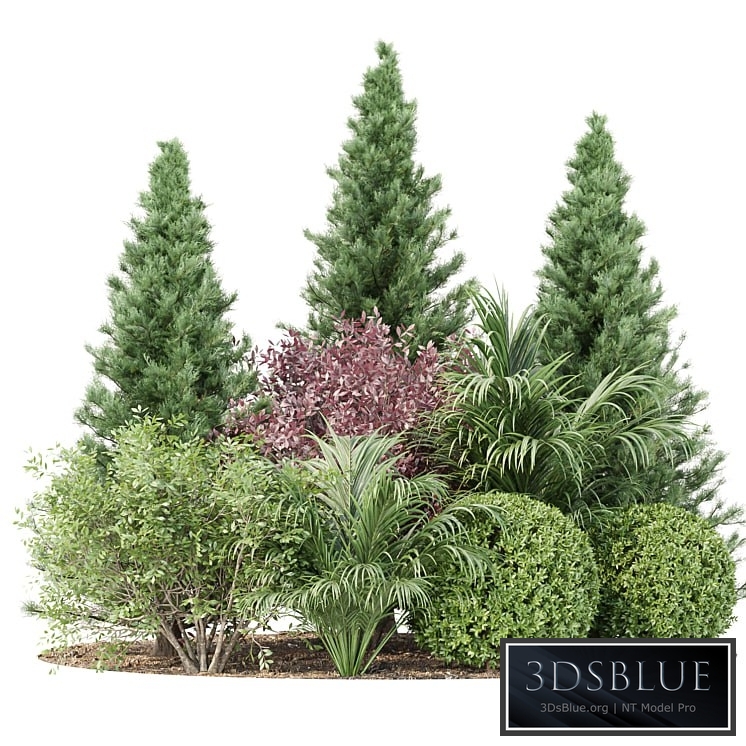 Garden collection vol 196