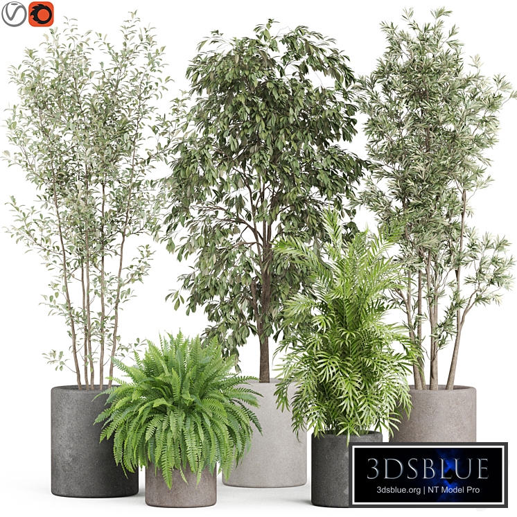 Plants collection 922