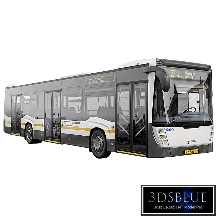 Bus Nefaz-5299-40-52 Moscow region