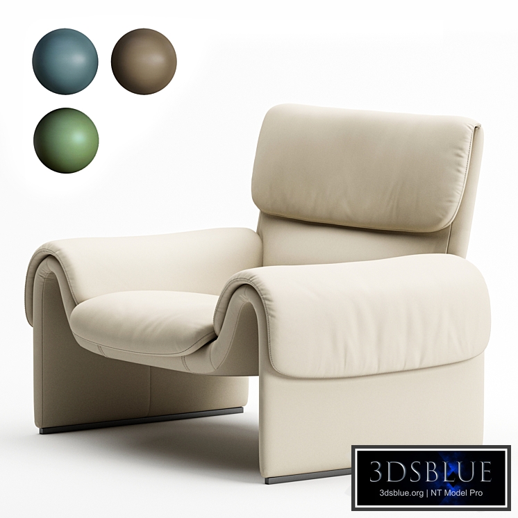 Armchair de Sede DS-2011