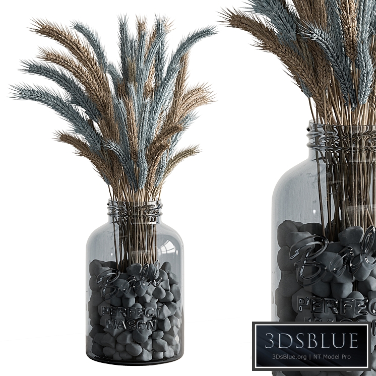 Dry plants 101 - Wheat