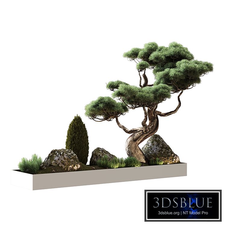 Decor with Vray pine