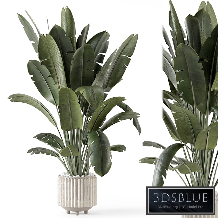 Indoor Plants in Ferm Living Bau Pot Large - Set 1448