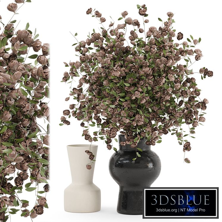 Plants Bouquet Collection In Concrete Pots - Set 1449