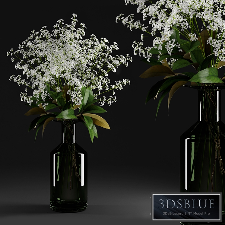 Gypsophila and magnolia leaves in bottle