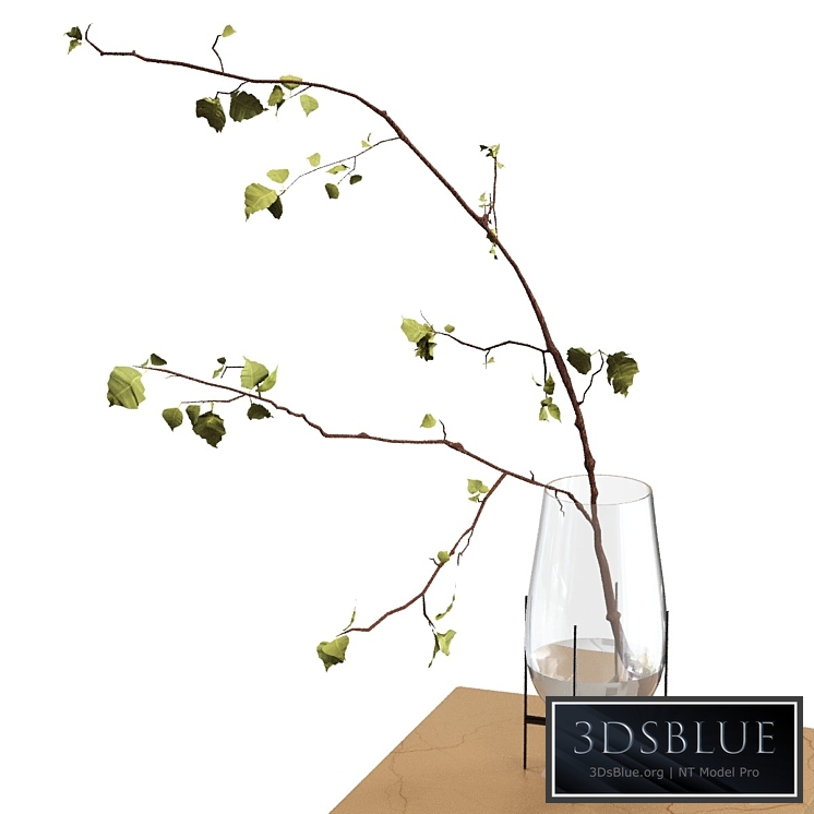 branch in a vase