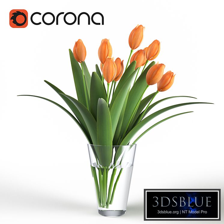 Bouquet of tulips in a glass vase